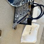 Dior Bag photo review