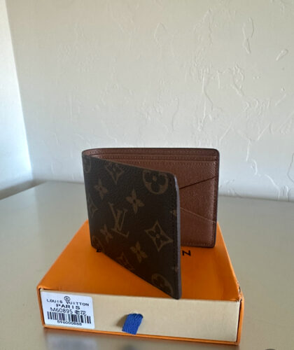 LV bag photo review