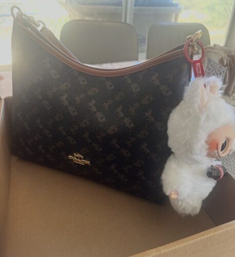 Coach laurel bag photo review