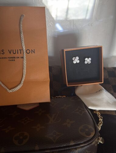 LV Earrings photo review